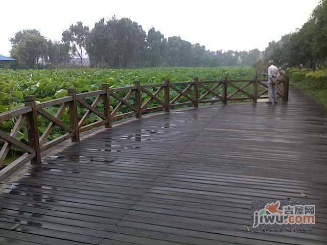 梦湖水岸实景图图片