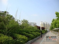 汉口花园一期实景图图片