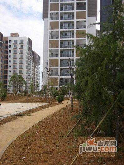 金色港湾实景图图片