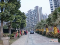 广电江湾新城南区实景图图片