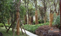 金地国际花园实景图图片