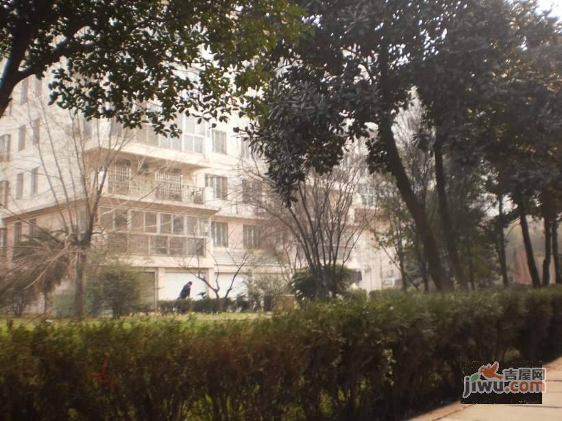 迪雅花园实景图图片