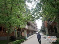 张黄新村小区实景图图片