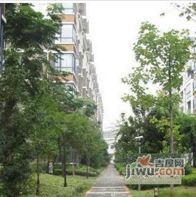汤逊湖山庄实景图图片