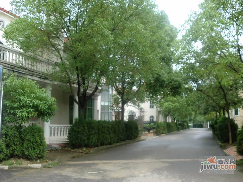 汤逊湖山庄实景图图片