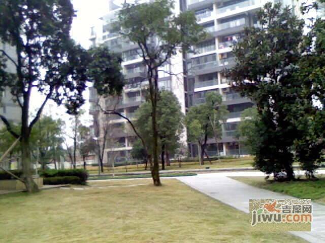 滨湖名邸实景图图片