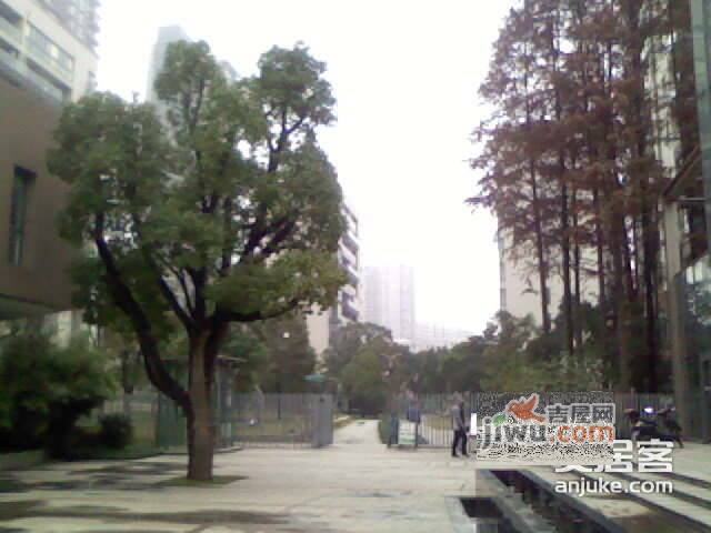 滨湖名邸实景图图片