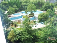 南湖新村实景图图片