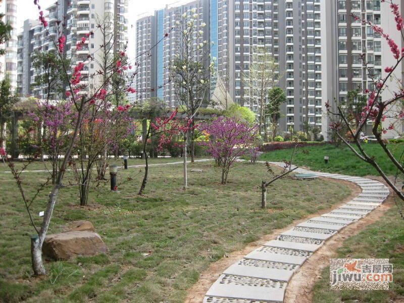 凯乐花园实景图图片