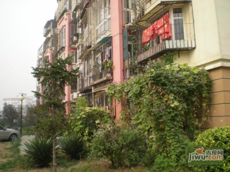 吉泰花园实景图图片
