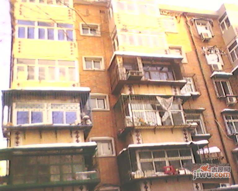 花园里实景图图片