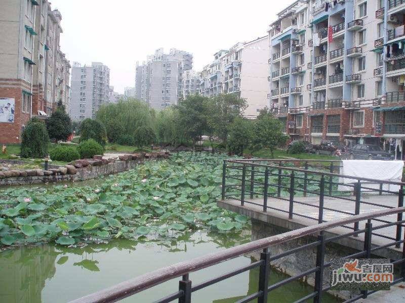金云里小区实景图图片