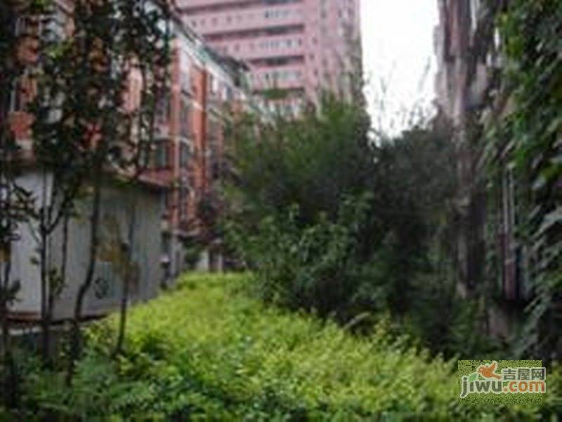 香港花园实景图图片