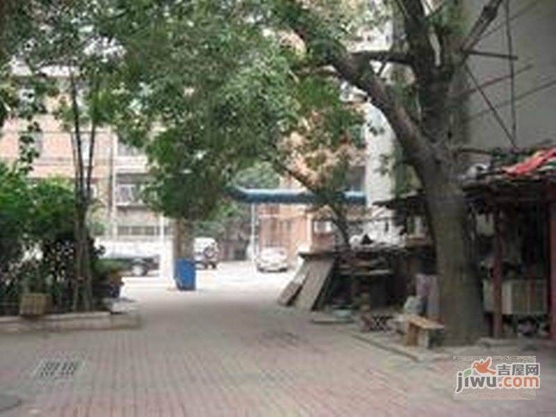 正义里实景图图片