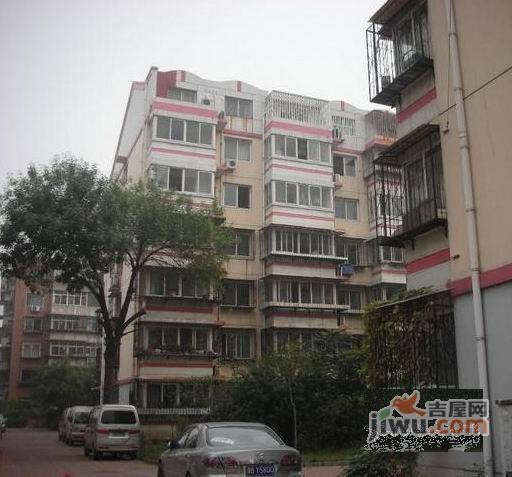 龙富园实景图图片