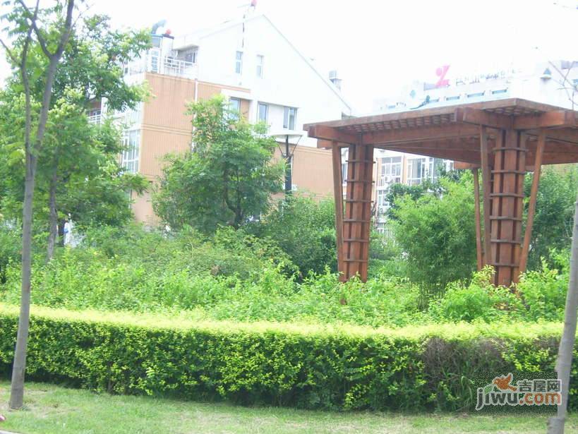 奥兰里实景图图片