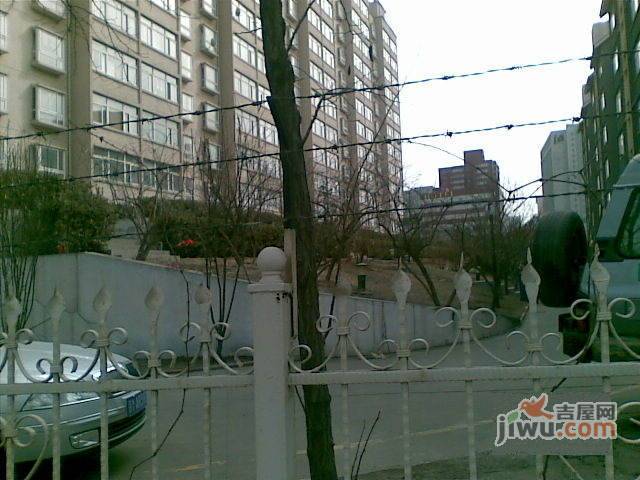 金色阳光实景图图片