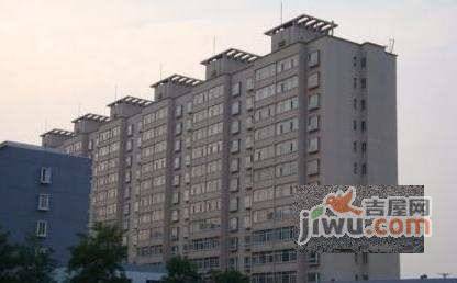 金色阳光实景图图片
