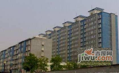 金色阳光实景图图片