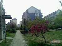 太阳城丹荔园实景图图片