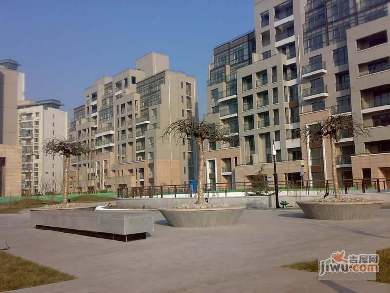 天保幸福居实景图图片