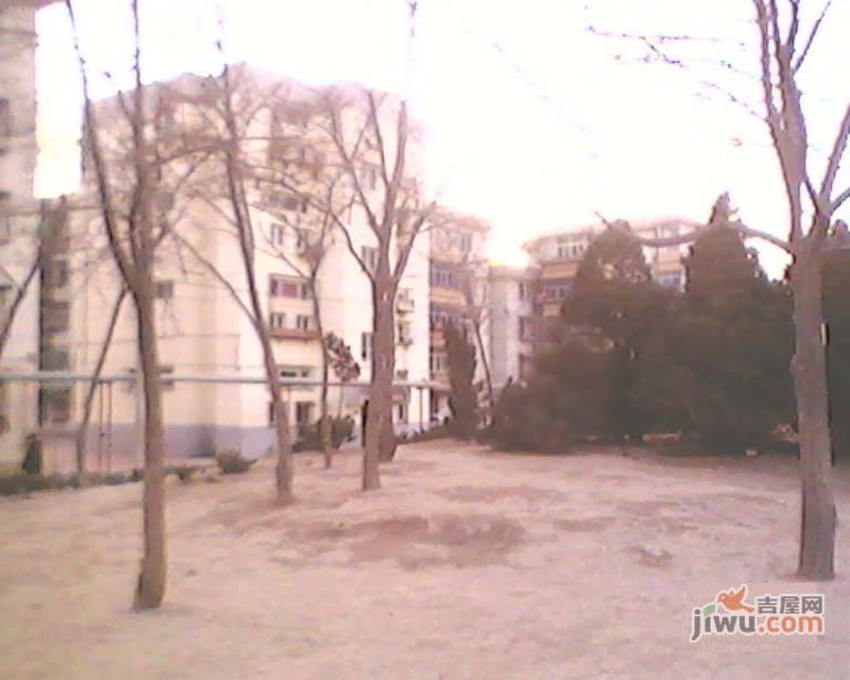 新河街柳江里小区实景图图片