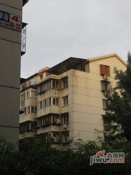 芳草园实景图图片