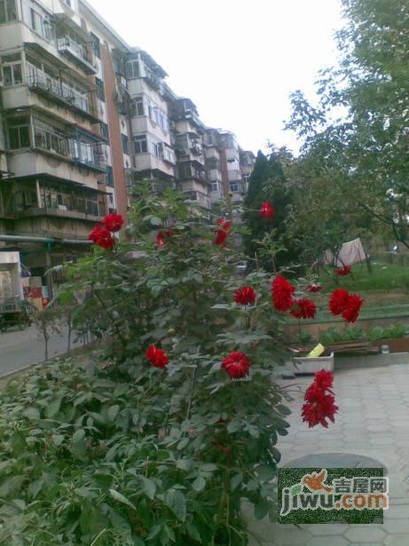森百花园实景图图片