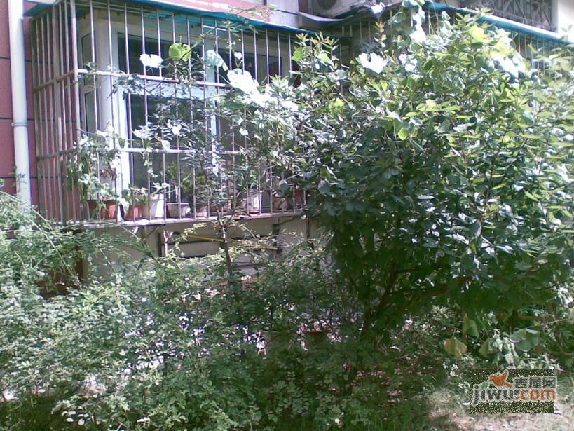 昆云里实景图图片