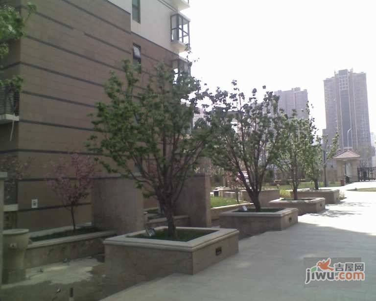 中新城上城实景图图片
