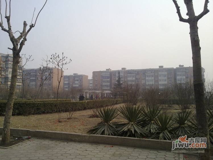 嫩江里实景图图片