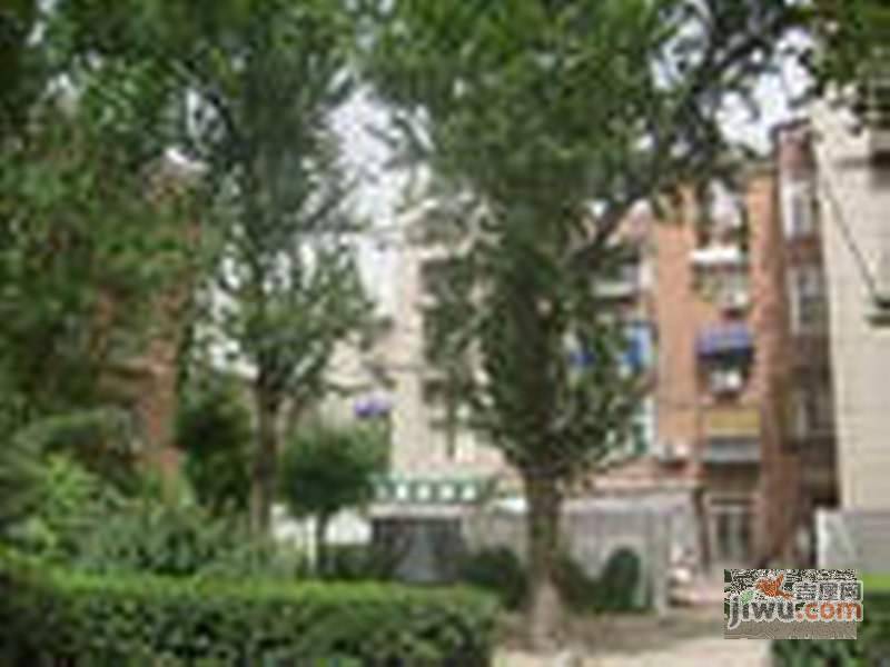 嫩江里实景图图片