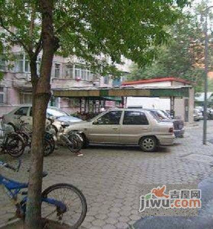 新柳江里实景图图片