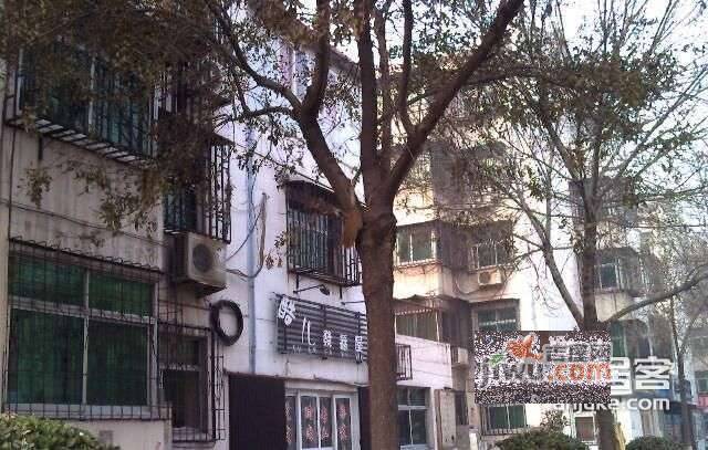 卧龙园实景图图片
