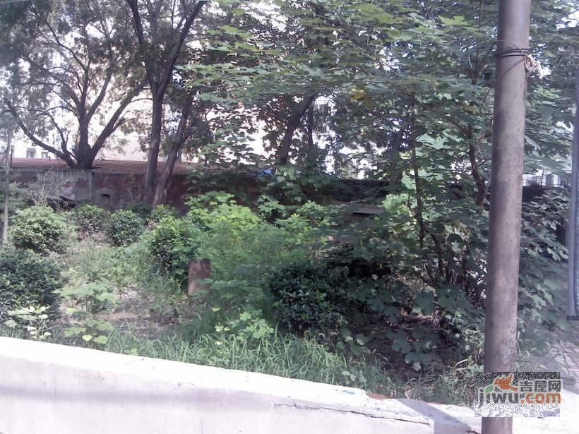 延安里实景图图片