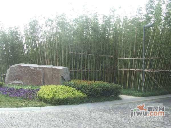 园丁公寓实景图图片
