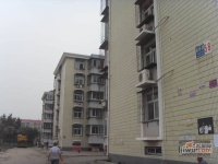 宏达园实景图13