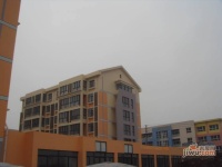 宏达园实景图13