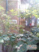 芳竹花园实景图图片