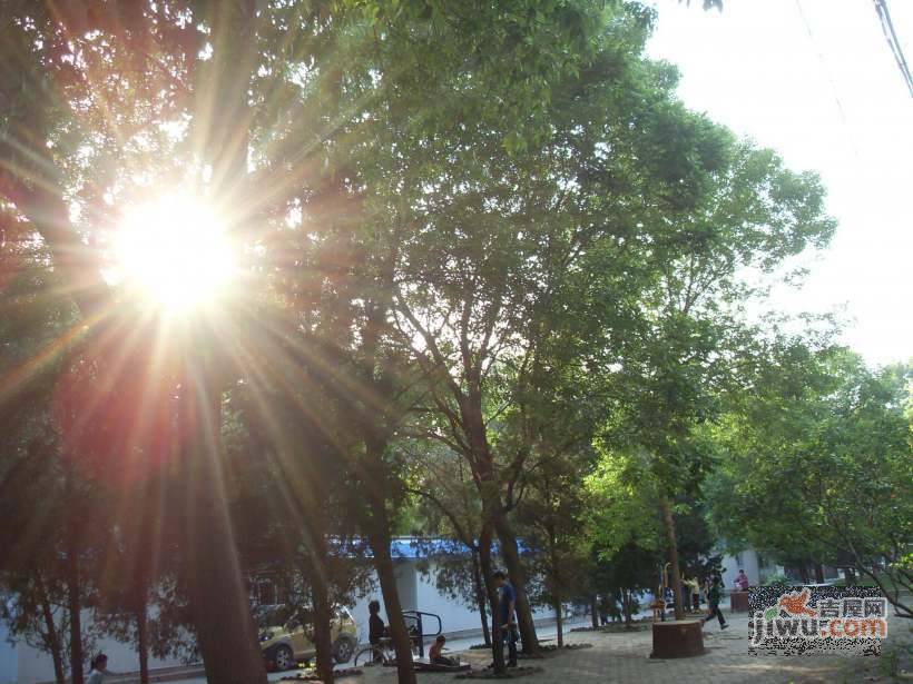 宾水东里实景图图片