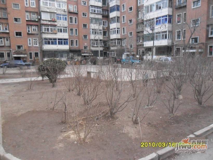雅致里实景图图片
