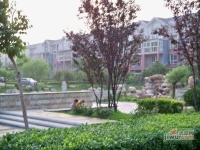 太阳城蓝山园实景图图片