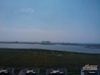 万科东丽湖实景图图片