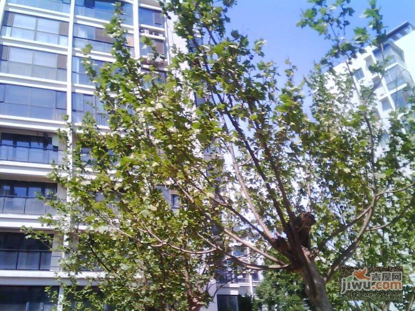 香槟左岸实景图图片