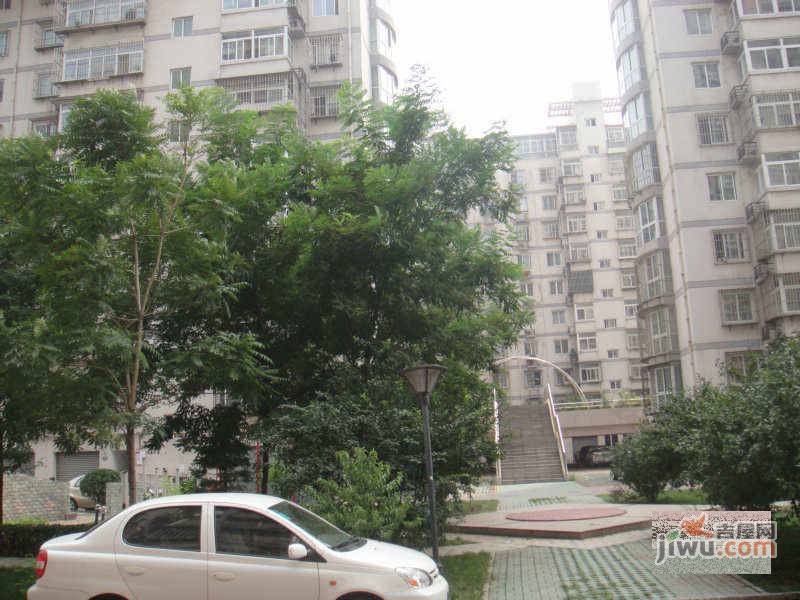 金色阳光实景图图片