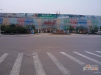 东丽湖万科城北欧墅实景图图片