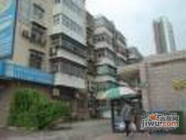 春风里实景图图片