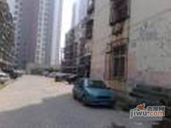 春风里实景图图片