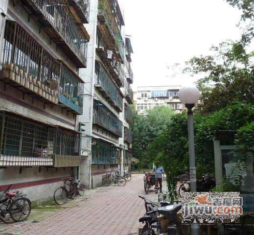 金泽里实景图图片