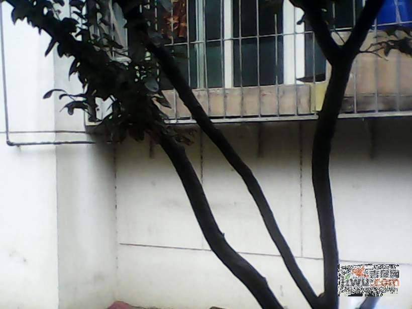 福东北里实景图图片